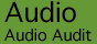 Audio Audit